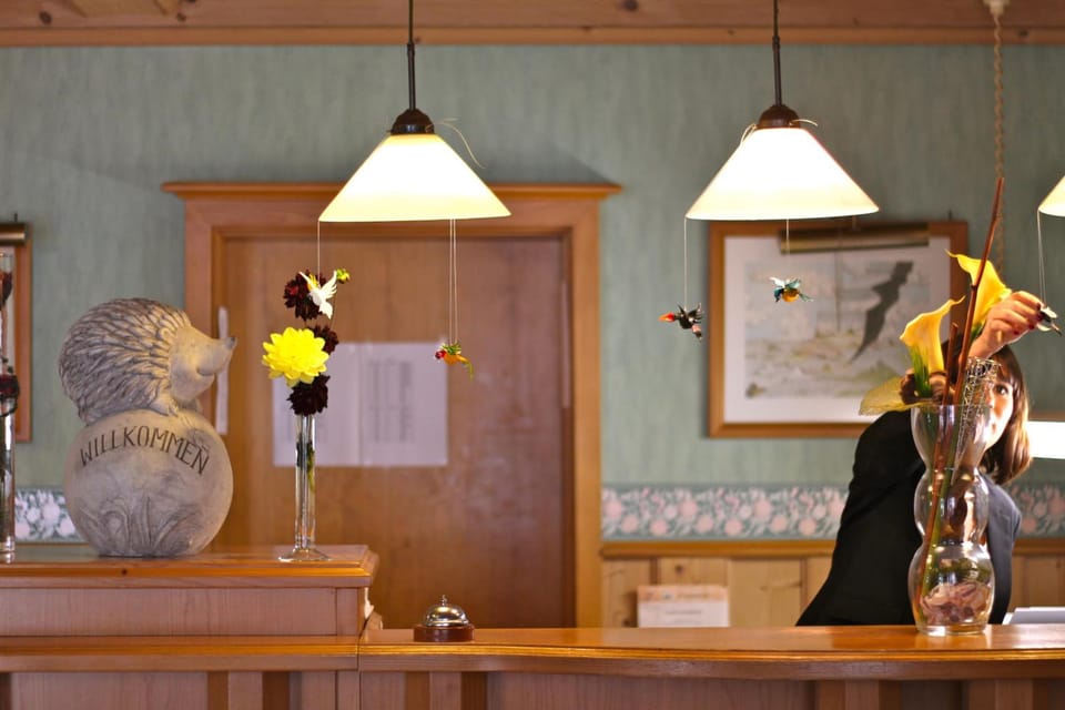Hotel Igelstadt Hotel in Hochsauerlandkreis