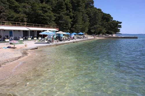 Apartments and rooms with parking space Palit, Rab - 3195 Hotel in Lika-Senj County