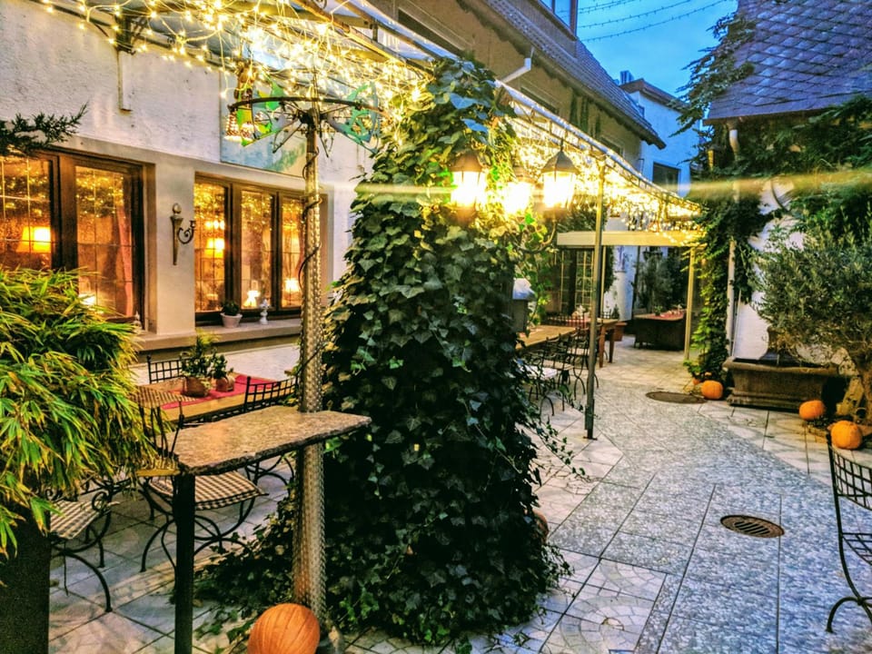 Hotel Peter Schaefer Hotel in Mainz-Bingen