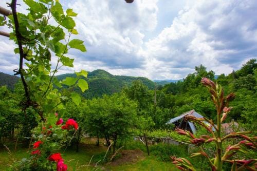 Holiday Home Lyubovo Hotel in Gabrovo