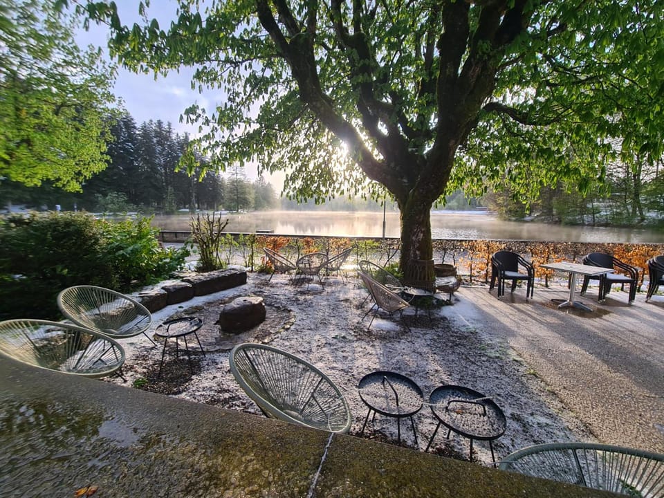 Hotel Waldsee Hotel in Lindenberg im Allgäu