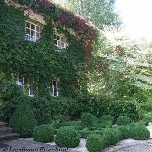 Landhaus Ettenbuhl Bed and Breakfast Hotel in Baden-Württemberg
