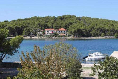 Rooms by the sea Pasman - 4309 Hotel in Šibenik-Knin County, Croatia
