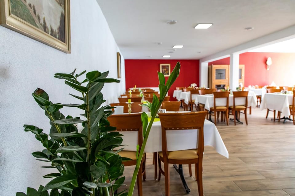 Hotel JAGERHAUS in Singen am Hohentwiel Hotel in Singen