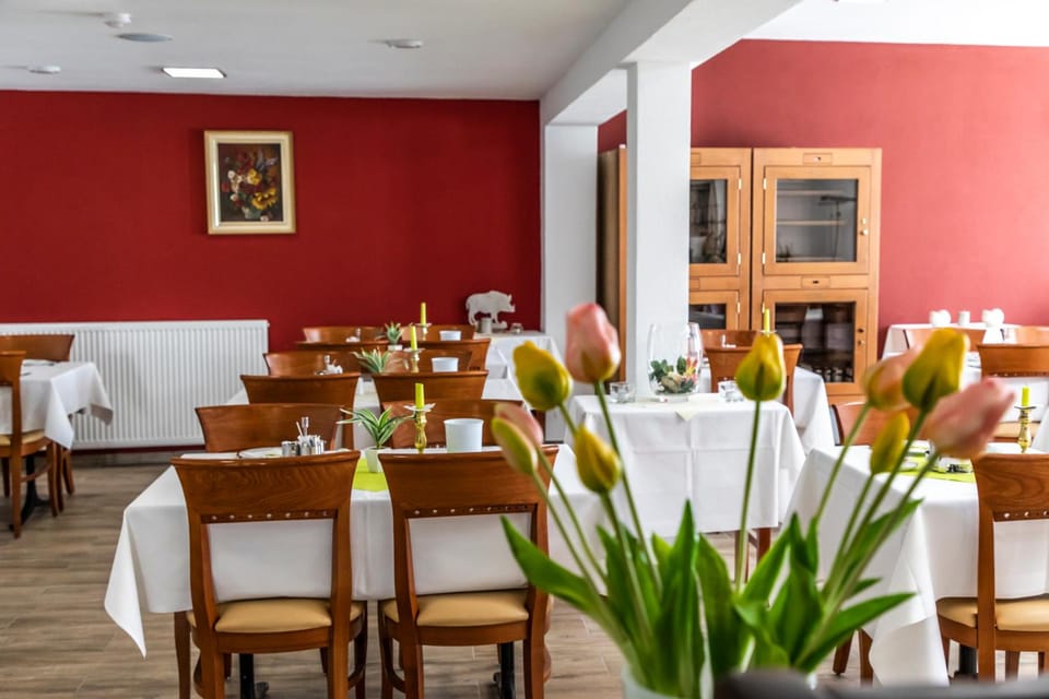 Hotel JAGERHAUS in Singen am Hohentwiel Hotel in Singen