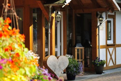 Landhotel Baumwipfel Hotel in Willingen
