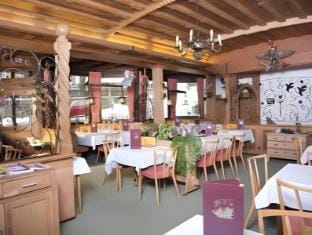 Hotel Sauerlander Hof Hotel in Willingen