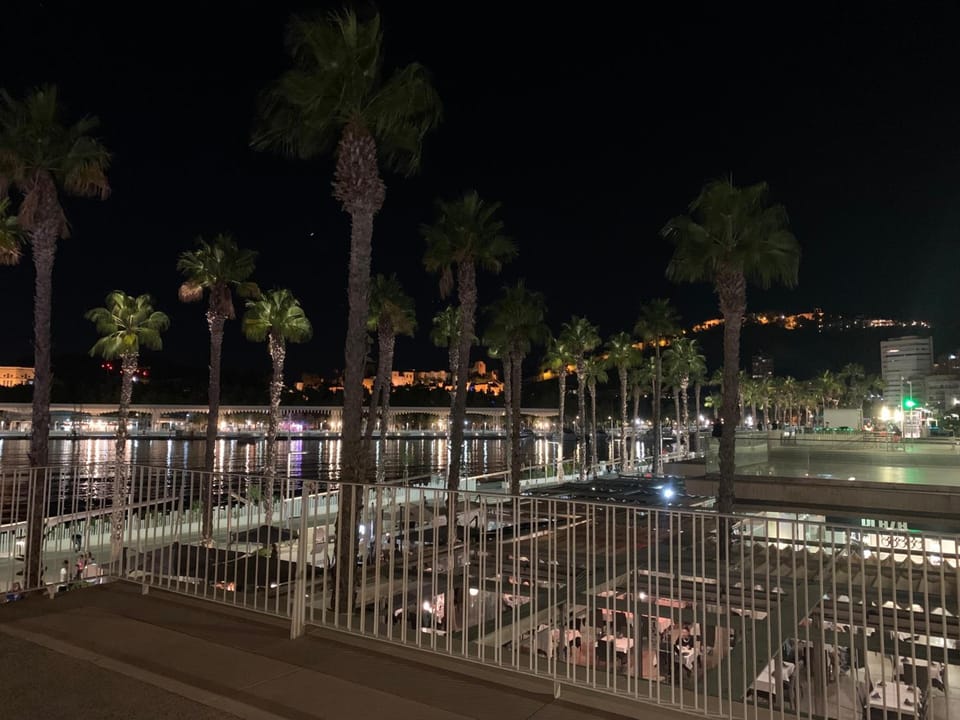 Alameda Hotel in Malaga