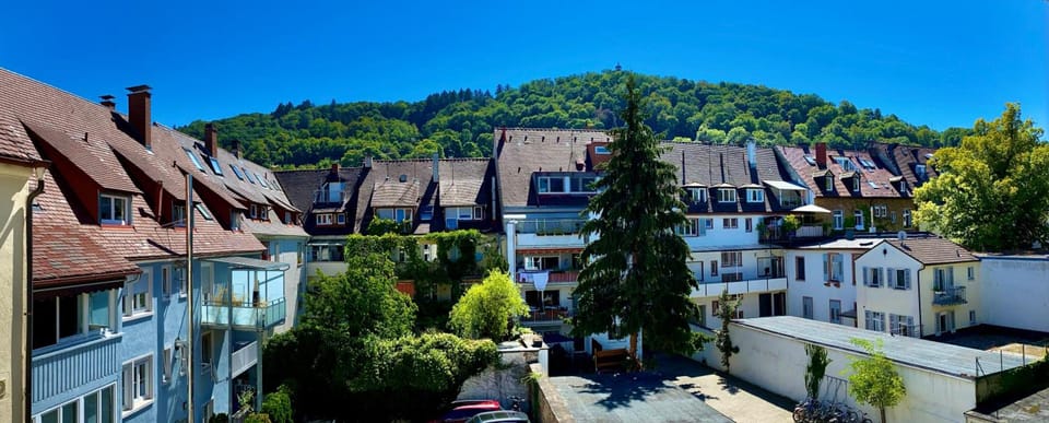 Stadthotel Freiburg Kolping Hotels & Resorts                                                 Hotel in Freiburg