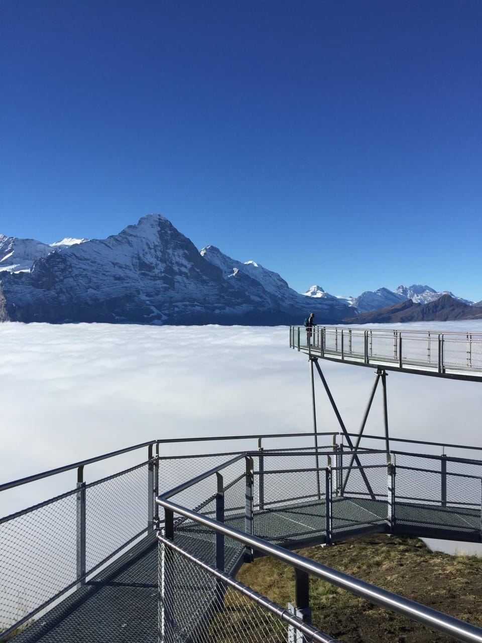 View