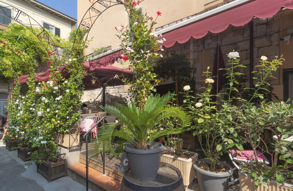 Hotel Amalfitana Hotel in Pisa