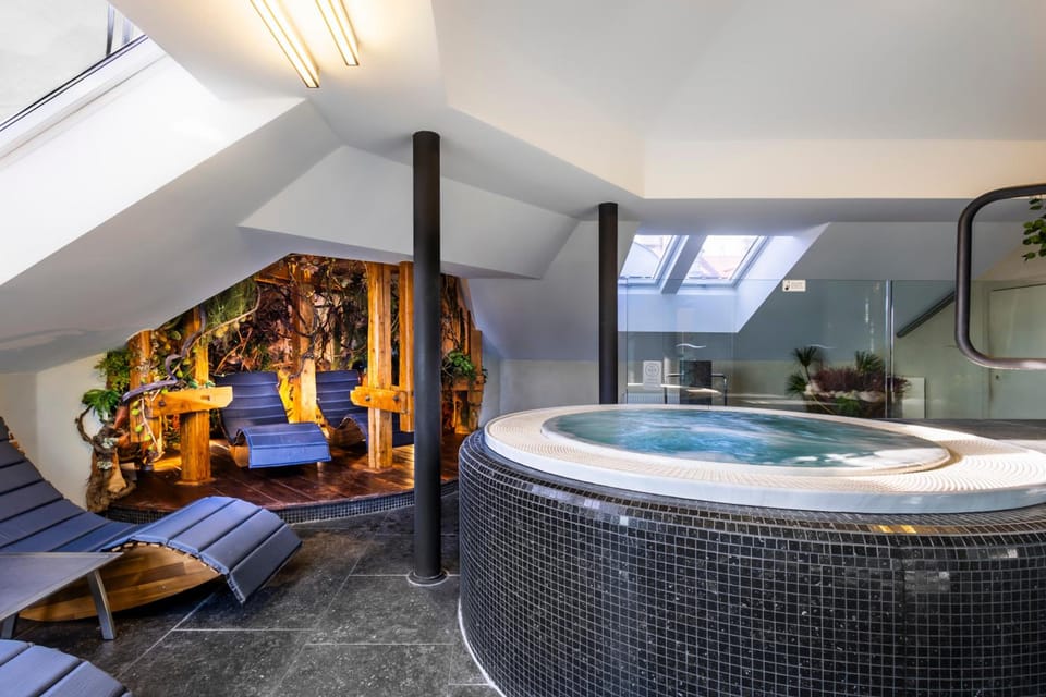 Theresian Hotel & Spa Hotel in Czechia