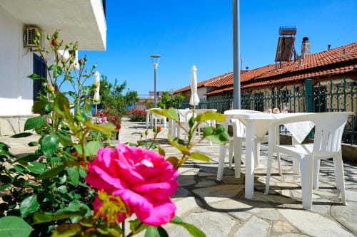 Kritikos Apartments Hotel in Halkidiki