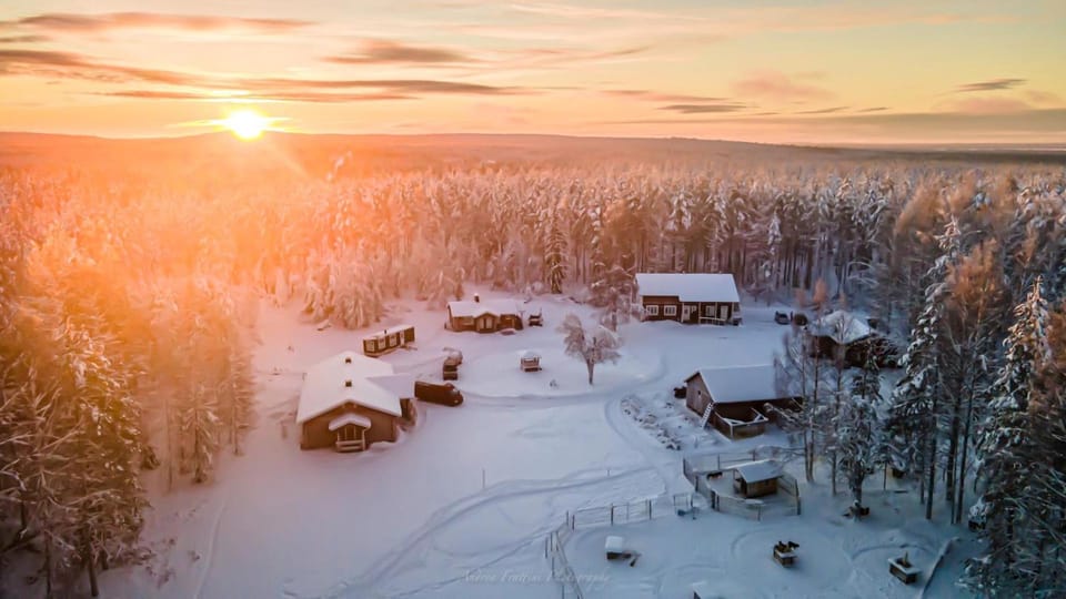 Old Pine Husky Lodge Resort in Lapland