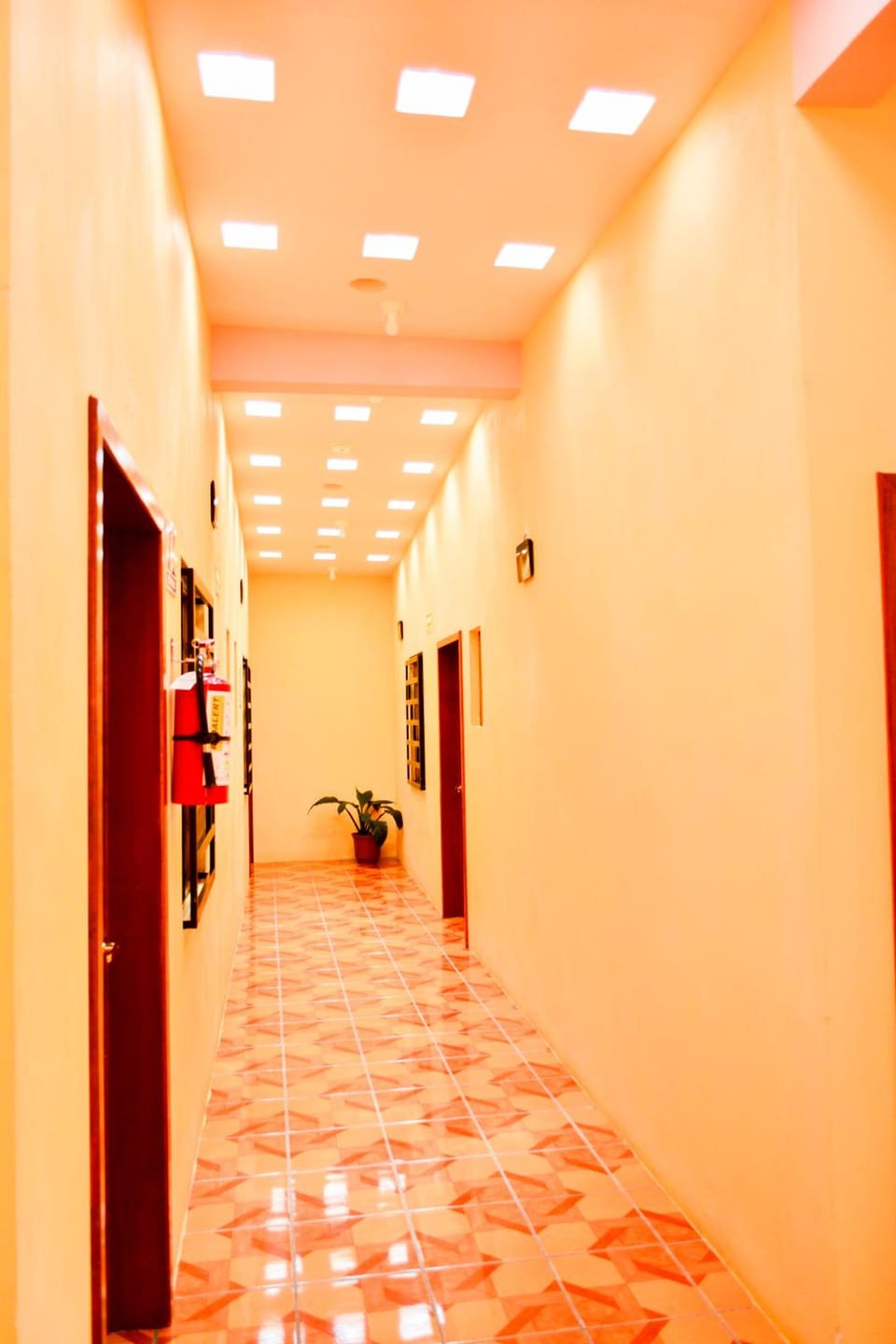 HOTEL EDELMIRA Hotel in State of Chiapas