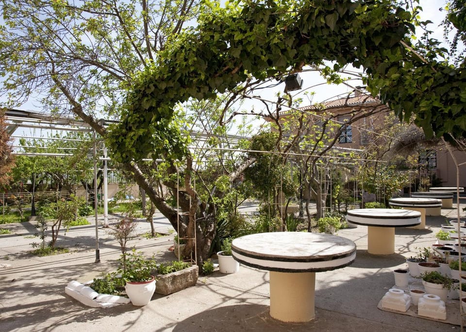 Garden
