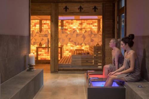 Hotel Alex Business & SPA Hotel in Canton of Valais