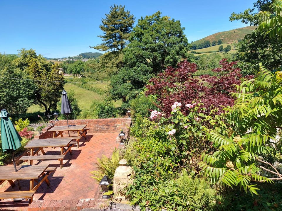 Bron-Y-Graig Hotel in Wales
