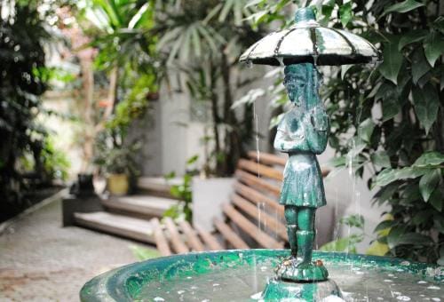 Stella Bed & Breakfast Hotel in Mexico City