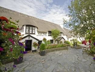 The Cott Inn Inn in Totnes