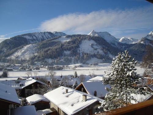 Apartment Austria Hotel in Tyrol