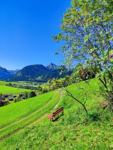 Apartment Austria Hotel in Tyrol