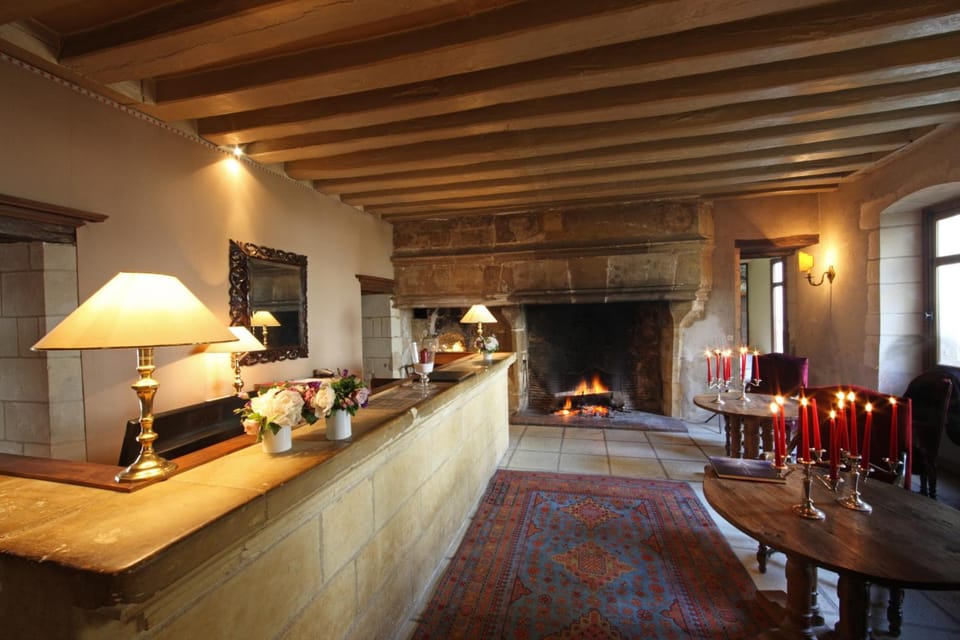 Chateau de Chissay Hotel in Centre-Val de Loire
