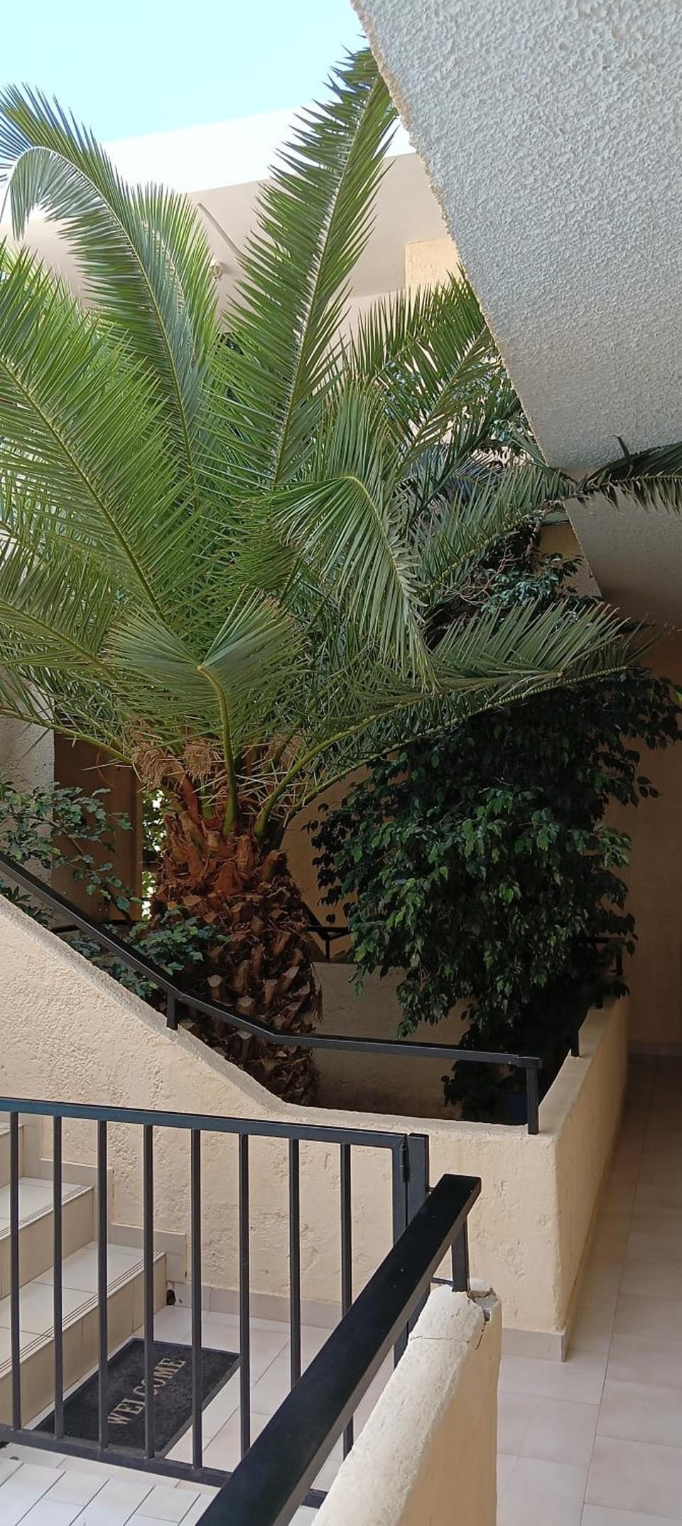 Senia Studios Apartment hotel in Islands