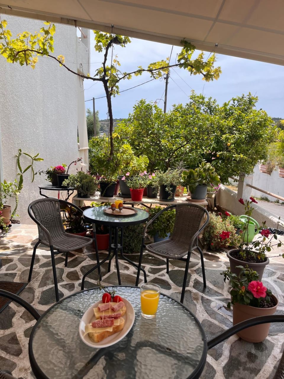 Isidora Hotel Hotel in Islands