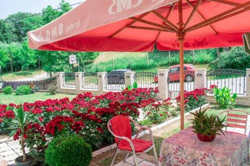 Apartmani "Vila Jelena" Arandjelovac Hotel in Serbia