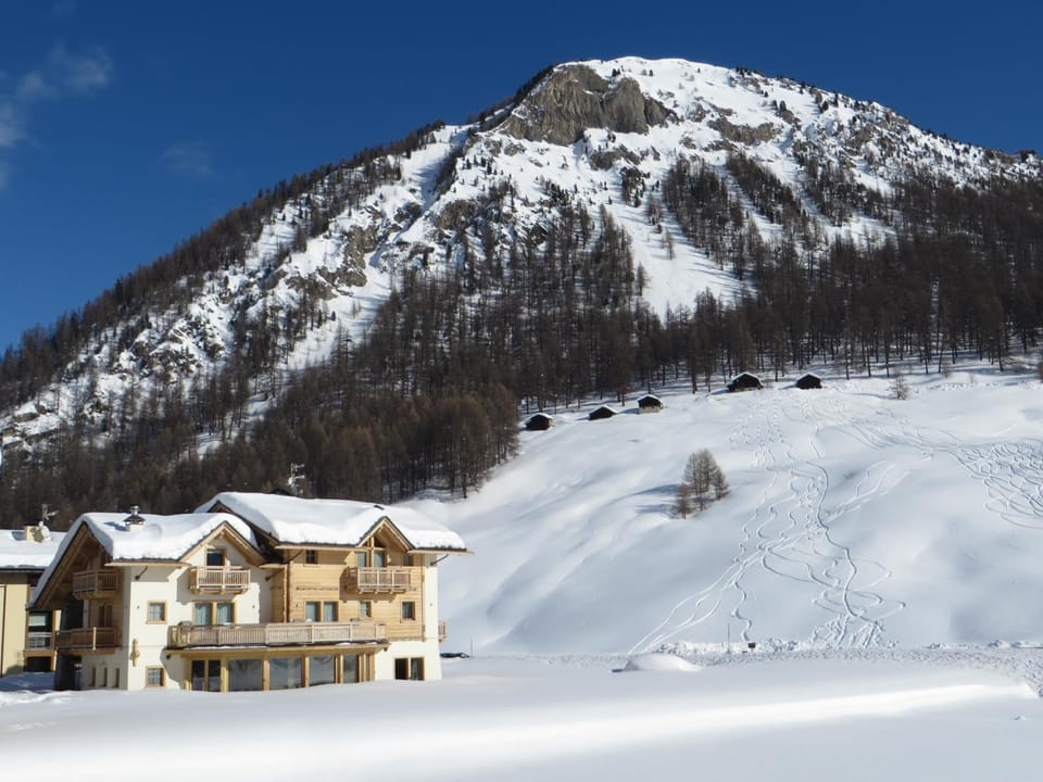 B&B Ecohotel Chalet des Alpes Hotel in Canton of Grisons