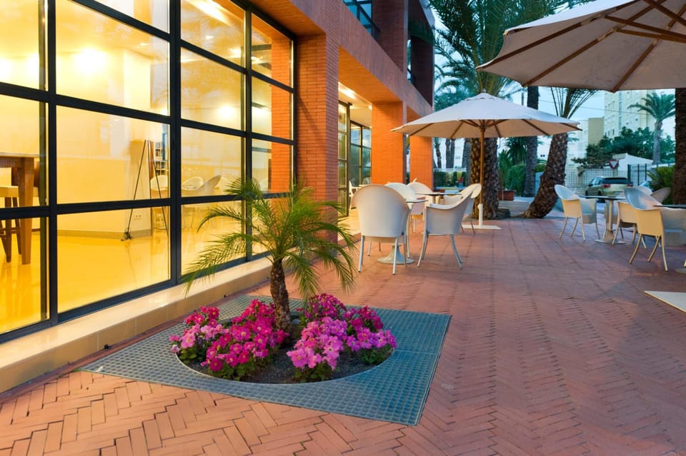 Hotel El Palmeral Hotel in Benidorm