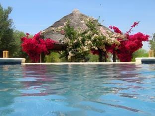 Swimming pool [outdoor]