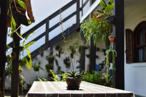 Noemia Brazil Cama e Cafe Hotel in State of Rio de Janeiro
