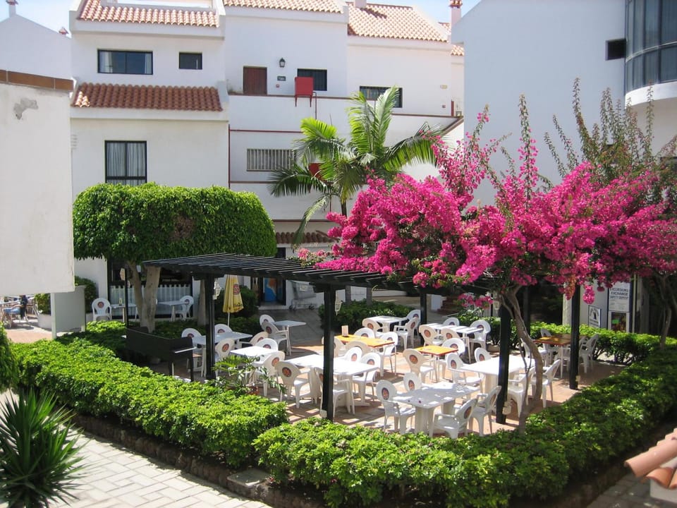 Apartamentos Hg Cristian Sur Apartment hotel in Los Cristianos
