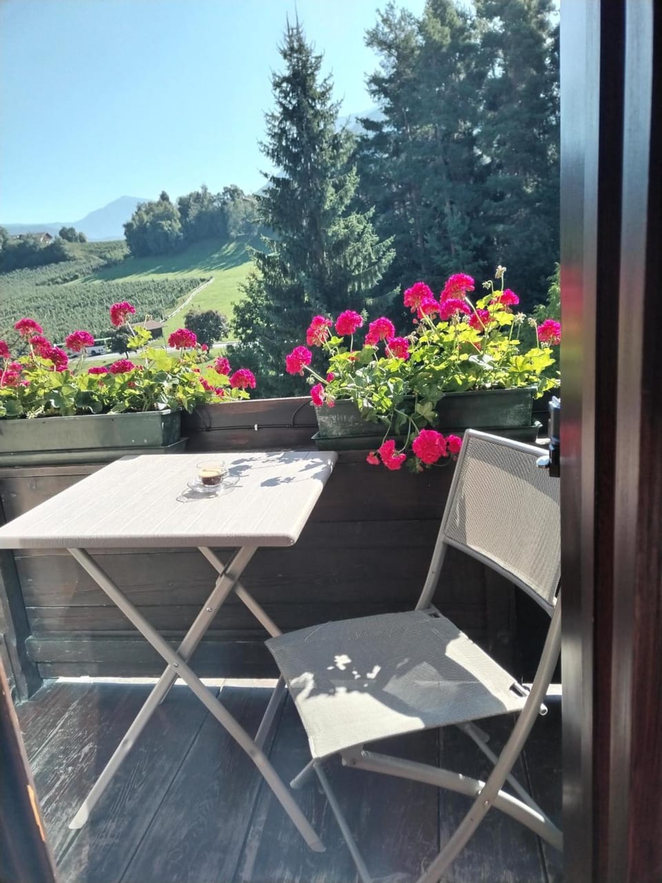 Garni Waldfrieden Hotel in Trentino-South Tyrol