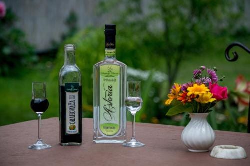 Guest House A'storia Hotel in Vojvodina
