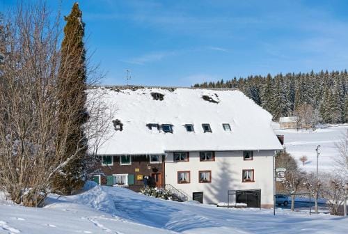 Gasthaus-pension zum Lowen Hotel in Schluchsee