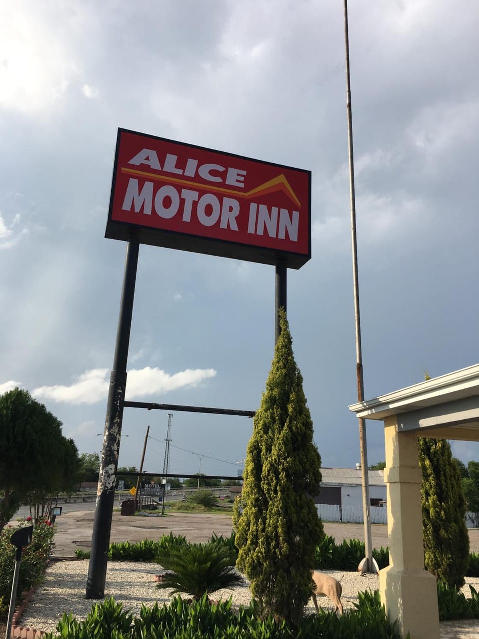 Alice Motor Inn Motel in Rio Grande