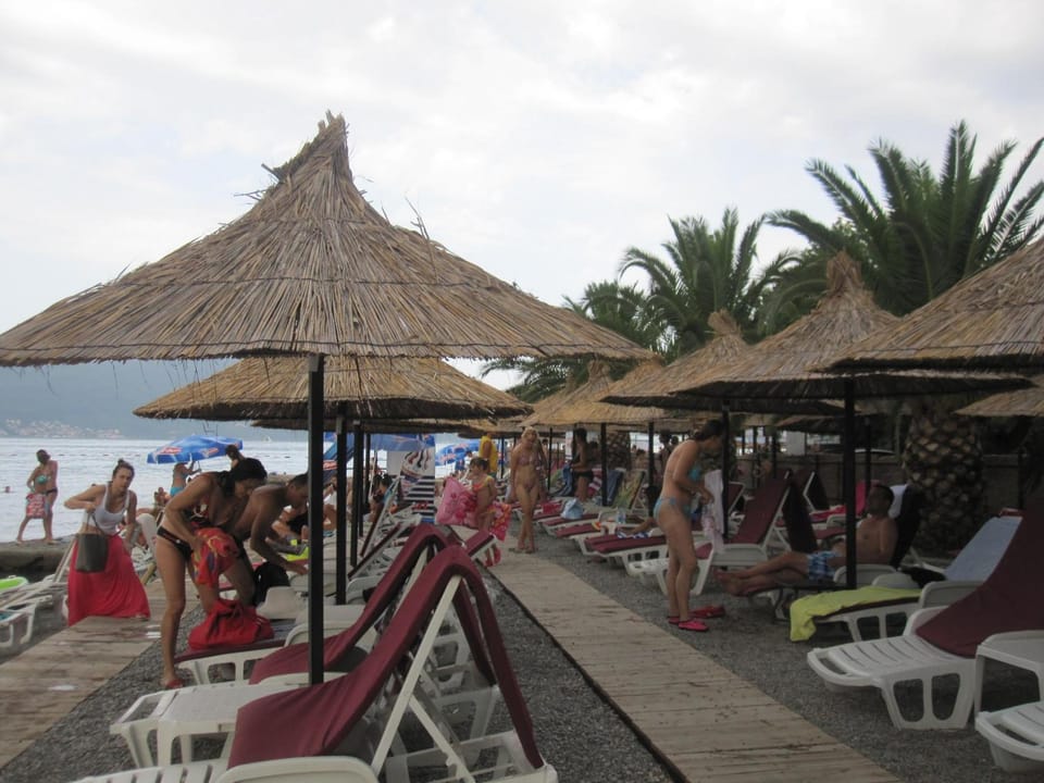 Apartments Delfin Hotel in Kotor Municipality
