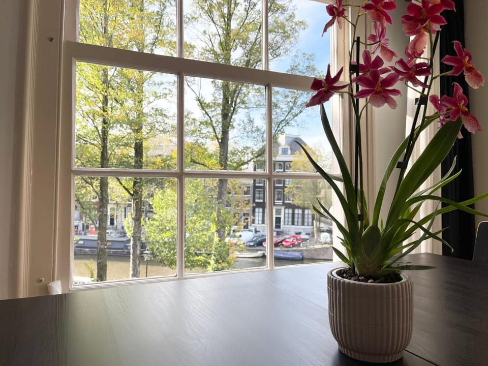 Little Tulip Hotel in Amsterdam