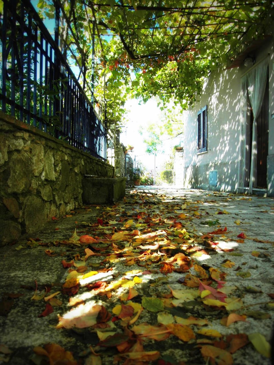 Guest House il Borgo di Sempronio Hotel in Lazio