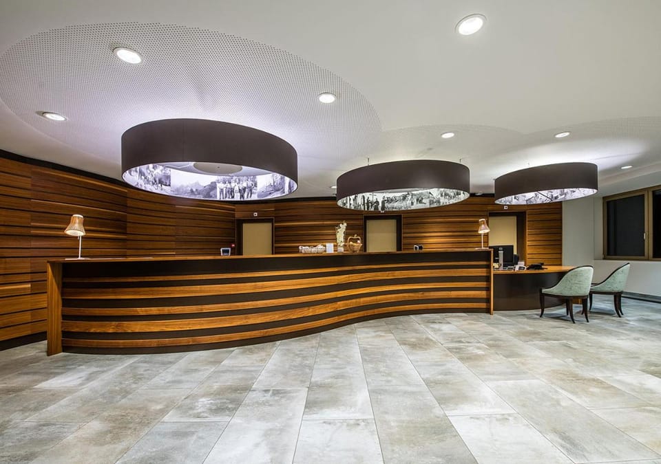 Hotel des Bains de Saillon Hotel in Canton of Valais