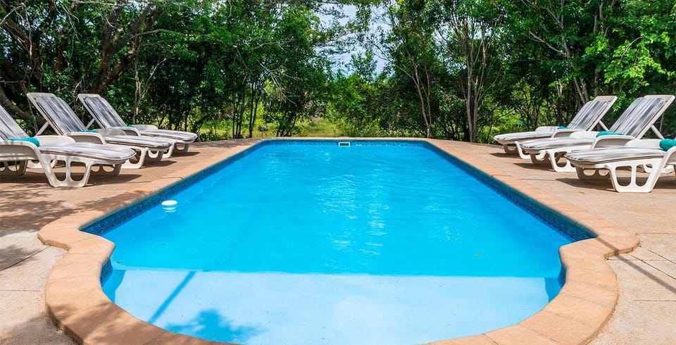 Swimming pool [outdoor]