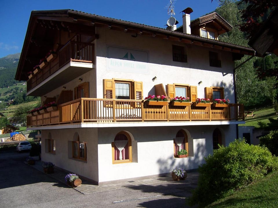 Alpen Hotel Rabbi Hotel in Trentino-South Tyrol