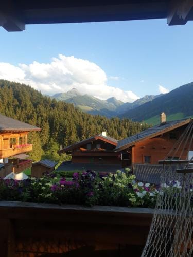 Haus Theresia Hotel in Alpbach
