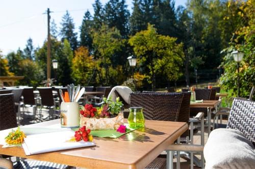 Pension Haus Furstenberg Hotel in Erzgebirgskreis