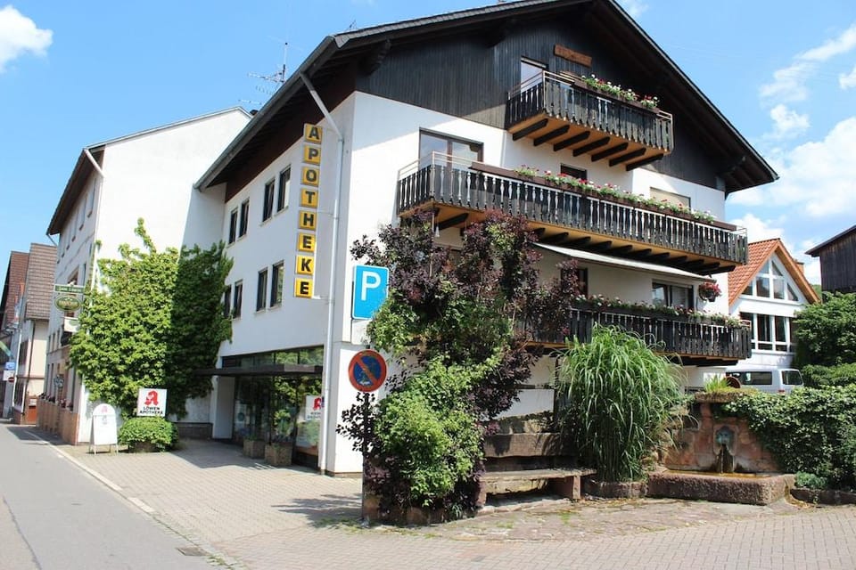 Gasthof und Pension zum Lowen Hotel in Hesse