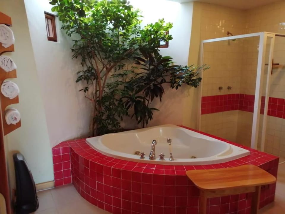 Casa Tsaya Hotel Boutique Hotel in State of Querétaro