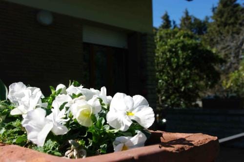 B&B Tre Conigli sul Como Hotel in Foligno